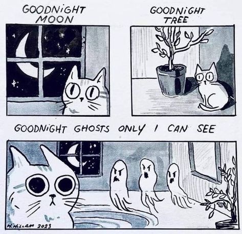 Cat sees 😀🐈👻 #ghost #catlovers #cats Cat And Ghost, Jackson Galaxy, Cat Jokes, Things That Go, Good Night Moon, Ghost Cat, Happy Animals, Fun Comics, Cute Animal Drawings