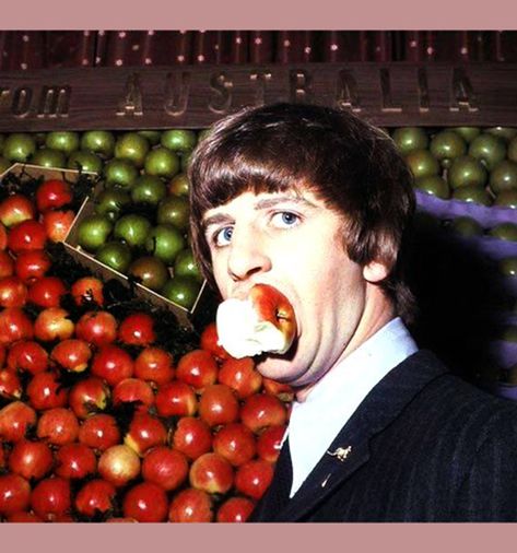 Vintage Beatles photo of Ringo Starr eating an apple, 1964 Ringo Starr Funny, Beatles Meme, Ringo Star, Plastic Ono Band, Beatles Funny, Richard Starkey, Beatles Ringo, Travelling Wilburys, Beatles Photos