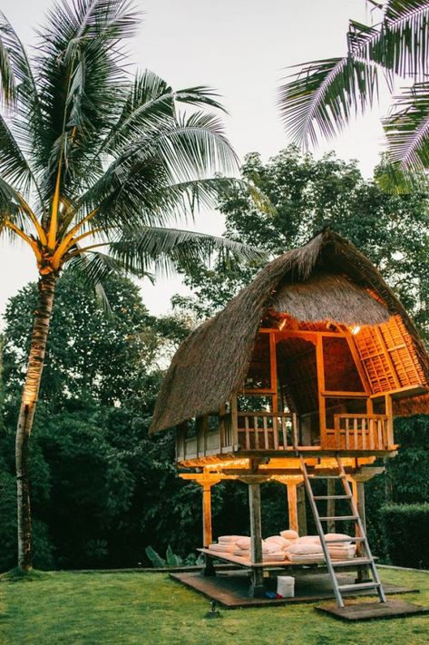 Bali Treehouse, Best Backyard Ideas, Jungle Treehouse, Thatch Roof, Casa Hobbit, Jungle Wedding, Bahay Kubo, Hut House, Backyard Trees