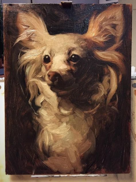 Jennifer Gennari, Dogs Painting, Pet Portraiture, Portraits Ideas, Pet Portrait Paintings, Dog Portraits Painting, 강아지 그림, Canine Art, Animal Portraits