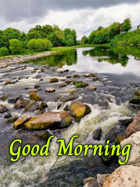 Morning Scenery, Scenery Images, Good Morning Nature Images, Good Morning Coffee Gif, Morning Nature, Good Morning Nature, Good Morning Flowers Pictures, Good Morning Beautiful Pictures, Good Morning Friends Images