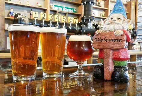 Best Breweries in Denver: Where to Drink Craft Beer in Denver - Thrillist Denver Colorado Mountains, Denver Breweries, Visit Denver, Denver Travel, Road Trip To Colorado, Explore Colorado, Visit Colorado, Micro Brewery, Beer Tasting