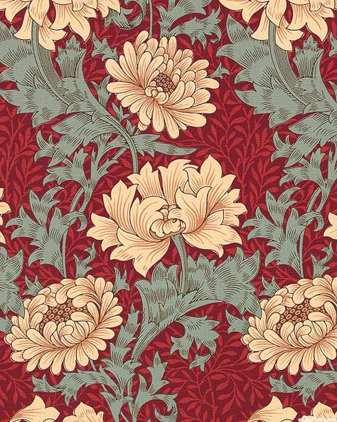 William Morris - Merton - Chrysanthemum - Quilt Fabrics from www.eQuilter.com Fleurs Art Nouveau, William Morris Wallpaper, William Morris Patterns, Morris Wallpapers, Motif Art Deco, William Morris Art, William Morris Designs, Art And Craft Videos, Art And Craft Design