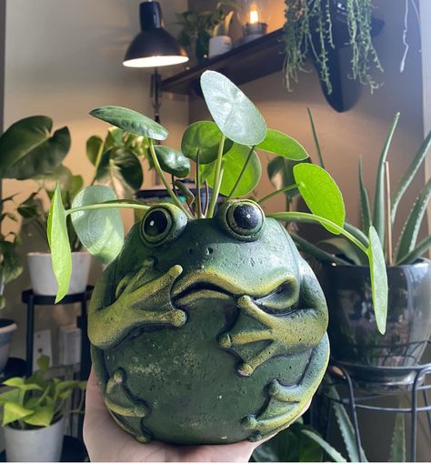 Frog Pot, Frog Pottery, Clay Frog, Ceramic Cafe, Pottery Ornaments, Diy Plaster, Pottery Pots, Pottery Videos, Ceramic Artwork