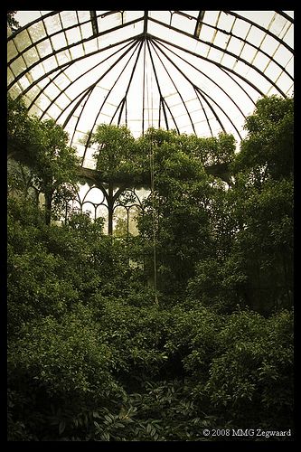 Conservatory Greenhouse, Large Greenhouse, Magic Places, Plants Growing, Greenhouse Plans, Diy Greenhouse, Garden Greenhouse, Greenhouse Gardening, Glass House