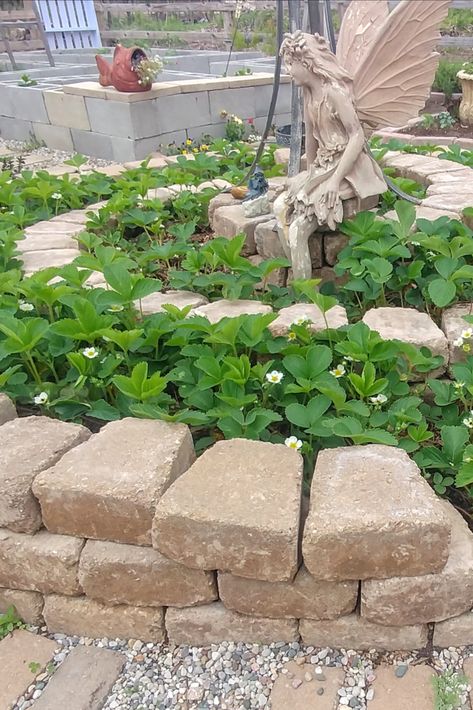 Spiral Garden Bed, Spiral Flower Bed, Stacked Stone Planters Raised Beds, Spiral Herb Garden Brick, Stacked Stone Raised Garden Bed, Herb Spiral, Strawberry Beds, Spiral Garden, Strawberry Garden