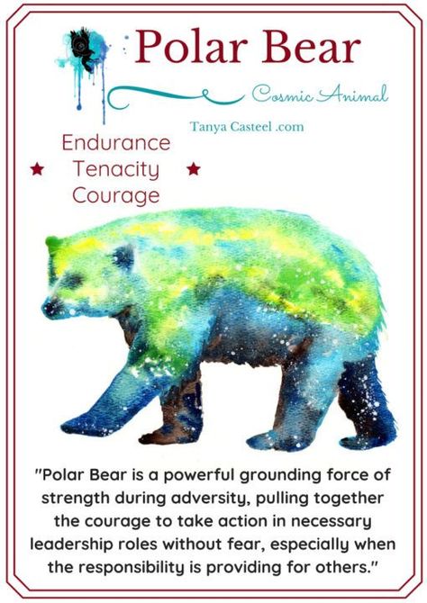 Polar Bear | Cosmic Animal Meaning, Medicine & Magic Polar Bear Symbolism, Polar Bear Spiritual Meaning, Polar Bear Spirit Animal, Polar Bear Spirit Animal Meaning, Bear Symbolism, Cosmic Watercolor, Animal Totem Spirit Guides, Bear Spirit Animal, Symbolism Meaning