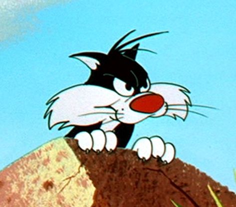 Looney Tunes Sylvester face Pike Art, Warner Brothers Cartoons, Looney Tunes Sylvester, Angry Cartoon, Cartoons Group, Bob Marley Art, Sylvester The Cat, Baby Looney Tunes, Looney Tunes Characters