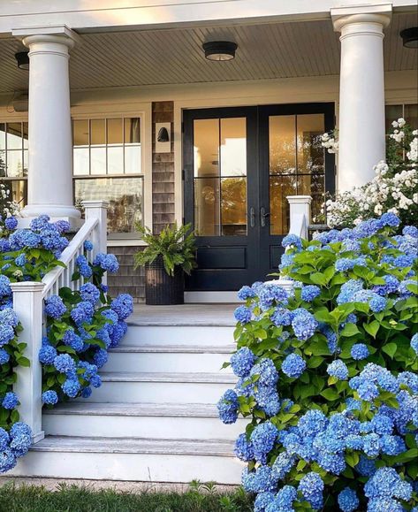 Blue Hydrangeas, Hydrangea Garden, Dream Beach Houses, Farmhouse Inspiration, Beautiful Farm, Blue Hydrangea, Pretty House, Porch Ideas, Tag A Friend