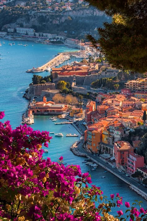 European Life, Saint Jean Cap Ferrat, Plan For The Future, Summer Abroad, Weekend Break, France Aesthetic, Europe Aesthetic, Ireland Wedding, Places In Europe