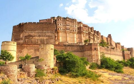 Stepping back in time at Mehrangarh Fort - Where history meets grandeur.

#JodhpurDiaries #RoyalRajasthan #mehrangarhfort #jodhpurcity #jodhpurguide #RajasthanRoyals #fortsandpalaces #indiatrip #jodhpur Rare Species Of Animals, Mehrangarh Fort Jodhpur, Galapagos Islands Travel, Notion Pics, Mehrangarh Fort, Ancient History Archaeology, Places To Visit In India, Blue City, Indian Architecture