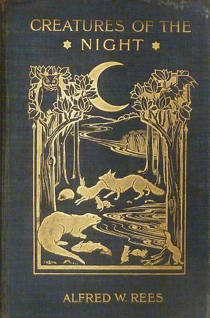 21 Vintage Books to Make You Nostalgic ... Illustration Art Nouveau, Moon Book, Best Book Covers, Vintage Book Covers, Beautiful Book Covers, Book Vintage, Creatures Of The Night, Book Cover Art, Old Book