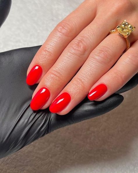 Bio Sculpture Gel on Instagram: "Our nail trend predictions for January are ✨🙌 Classic Reds by @raelondonnails - Pillar Box Red Sheer Perfection by @meganmargotevans & @matejanova  Almost Black by @bylaurenbroe & @nails_by_emilie using Erica, Liquorice & Free Lovin" Pillar Box Red Nails, Light Red Nails, Gel Polish Nail Designs, Bio Sculpture Gel, Cornrows Braids For Black Women, Bio Sculpture, Nail Trend, Short Acrylic, Short Acrylic Nails Designs