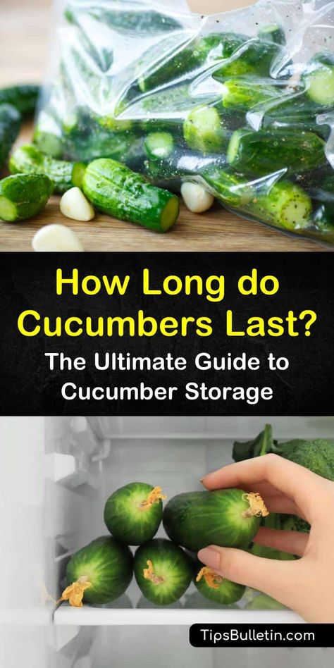 How To Store Cucumbers, Storing Food Long Term, Refrigerator Pickle Recipes, Japanese Cucumber, Cucumber Canning, Vegetable Crisps, Mini Cucumbers, Vegetable Storage, Persian Cucumber