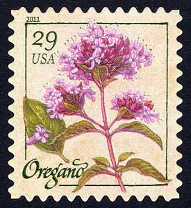 Oregano Flowers, Flowering Herbs, Postage Stamps Usa, Usa Stamps, Wedding Postage, Postage Stamp Art, Vintage Postage Stamps, Vintage Postage, Strawberry Fields