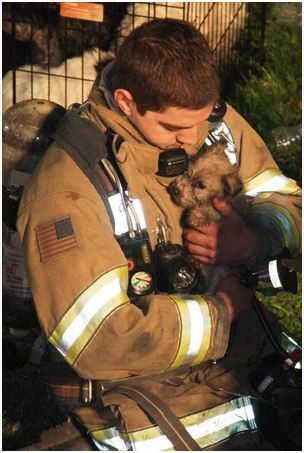 Firefighters rescuing a puppy | Shared by LION Lode A Dio, Newborn Puppies, House Fire, American Heroes, Faith In Humanity, Random Acts Of Kindness, Mans Best Friend, Firefighter, Puppy Love