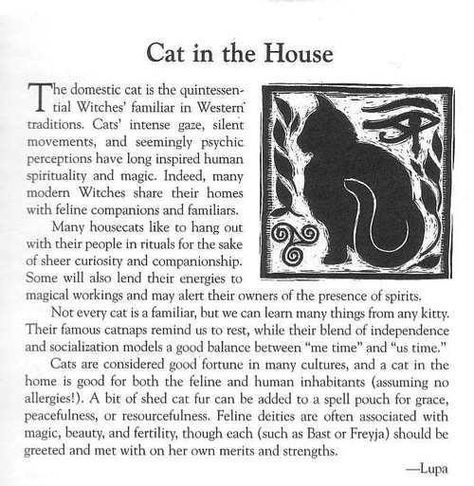 cat in the house Dog Witchcraft, Cottage Witchcraft, Witchy Corner, Bastet Goddess, Cat Spirit, Witches Familiar, Animal Spirit Guides, African Traditions, Magic Cat