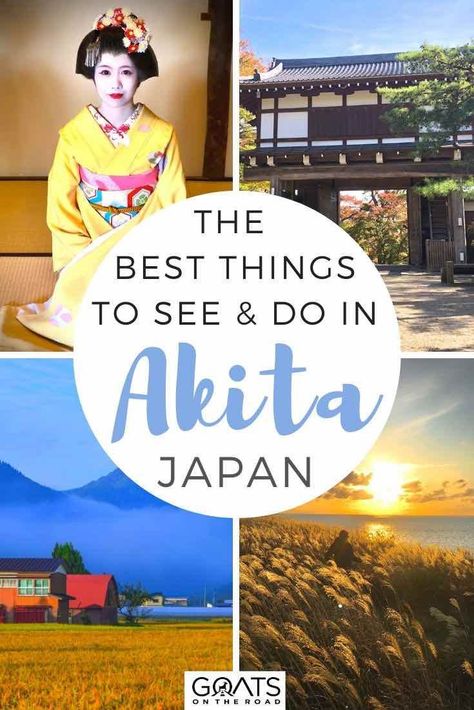 Want to experience off the beaten path Japan? Akita needs to be on your travel itinerary, with a rugged coastline, panoramic viewpoints, steamy onsens and picturesque rice paddies. Check out our tips on what things to do, and how to get around this Northern Japan prefecture. | #japantravel #visitasia #traveltips Japan Travel Itinerary, Akita Japan, Northern Japan, Japan Prefectures, Rice Paddies, Japan Itinerary, Visit Asia, Japan Vacation, Japan Travel Tips