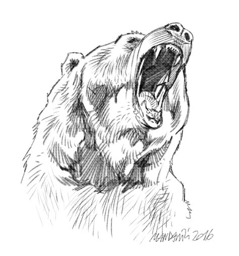 Bear Drawing Scary, Bear Drawing Tattoo, Bear Sketches, Word Tattoo Ideas, Drawing Wood, Bear Sketch, Bear Drawings, Word Tattoo, Tools Drawing