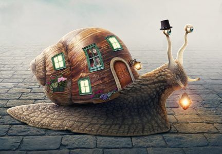 Snail Home Jigsaw Puzzle Snail Home, Snail House, Snail Image, Snail Tattoo, Back Drawing, Snail Art, Pottery Animals, Pottery Houses, House Drawing