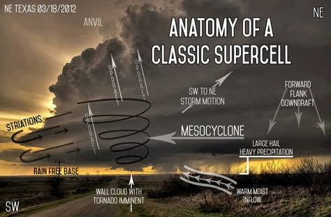 Weather Book, Supercell Thunderstorm, Mammatus Clouds, Weather Books, Weather Science, Storm Chasing, Severe Storms, Weather And Climate, Meteorology