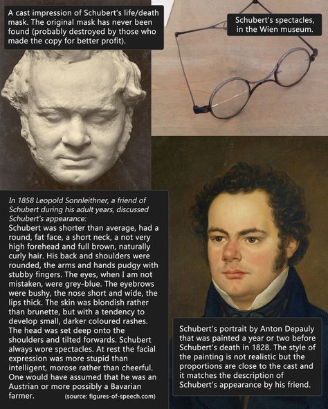 Piano Composers, Schubert Franz, Stubby Fingers, Classical Composers, High Forehead, Franz Schubert, Classical Music Composers, Famous Composers, Romantic Period