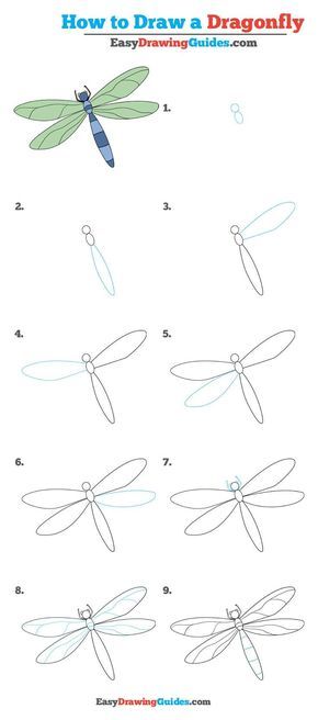 Draw A Dragonfly, Murals Ideas, Trin For Trin Tegning, Dragonfly Drawing, Watercolour Ideas, Drawing Tutorials For Beginners, Easy Drawing Tutorial, Tray Ideas, Art Hub