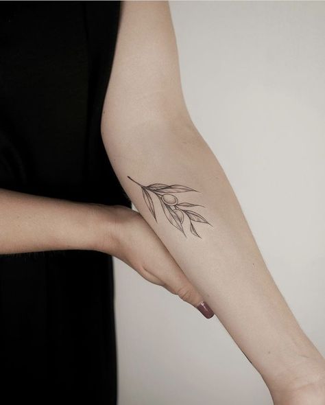 Women Minimalist Tattoo, Olive Tree Tattoo, Watercolor Compass Tattoo, Sorry Mom Tattoo, Olive Tree Tattoos, Olive Tattoo, Olive Branch Tattoo, Branch Tattoo, Wrap Tattoo