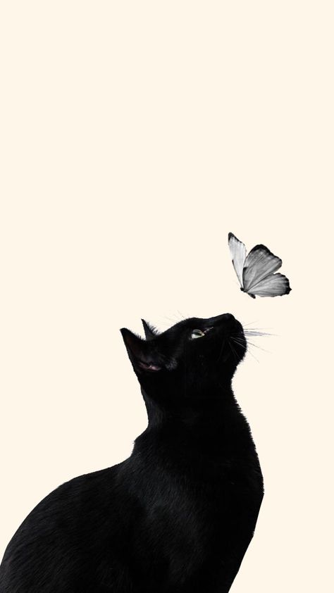 Black Cat Drawing, Cat Phone Wallpaper, Black Cat Aesthetic, Cat Butterfly, Modern Cat Tree, Black Cat Art, Modern Cat, Watercolor Cat, Cat Aesthetic