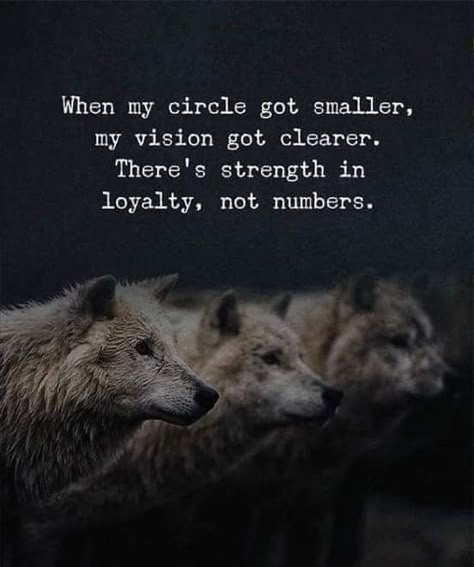 Wolf Pack Quotes, Lone Wolf Quotes, Motivation Hustle, Hustle Motivation, Wolf Quotes, Warrior Quotes, Badass Quotes, Reality Quotes, A Quote