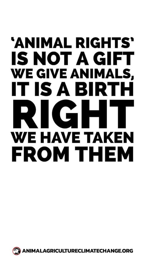 Animal Rights Quotes, Vegan Facts, Vegan Memes, Animal Activism, Animal Agriculture, Vegan Quotes, Animal Liberation, Stop Animal Cruelty, Vegan Living