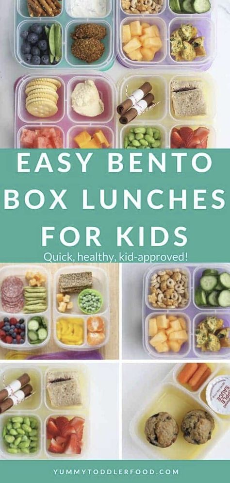 Lunch Ideas For Daycare Kids, Daycare Bento Box Lunch Ideas, Easy Lunch Toddler, Lunch For Preschoolers, Healthy Cold Lunches For Kids, Bento Box Kids Lunch Ideas, Bento Box School Lunch Ideas For Kids, Preschool Lunch Ideas For School, Kids Bento Box Ideas