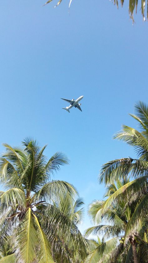 Airplane In The Sky Aesthetic, Aeroplane Aesthetic Wallpaper, Aesthetic Plane, Plane Wallpaper, Fly Plane, Summer Wallpapers, Airplane Wallpaper, Flying With A Baby, Aviation World