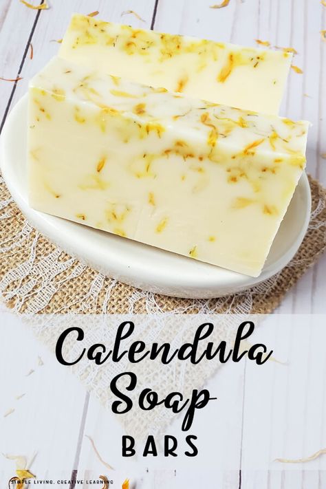 Calendula Plant, Rosemary Salve, Calendula Soap, Easy Soap Recipes, Cold Process Soap Recipes, Lotion Recipe, Cupcake Soap, Soap Supplies, Diy Lotion