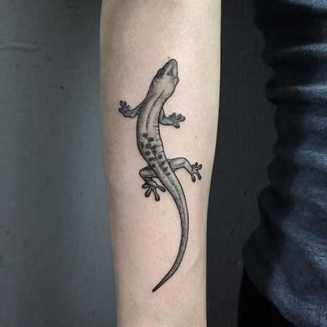 #Tattoos,lizard tattoo Cute Shoulder Tattoos, Gecko Tattoo, Crocodile Tattoo, Lizard Tattoo, Tier Tattoo, Cute Lizard, Lying In Bed, Kunst Tattoos, Tattoo Prices