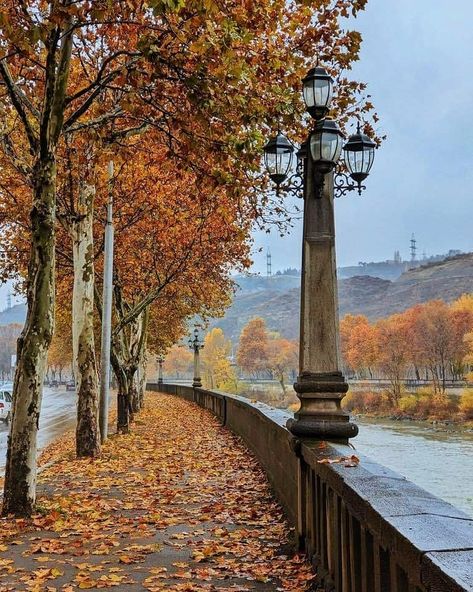 Tbilisi photography Homework, Lamp Post, Georgia, Photography, Art