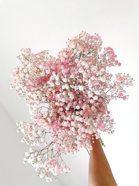 Baby's Breath Centerpiece Wedding, Rainbow Gypsophila, Baby's Breath Centerpiece, Baby's Breath Bouquet, Flower References, Letterbox Flowers, Flowers Wild, Boquette Flowers, Flower Company