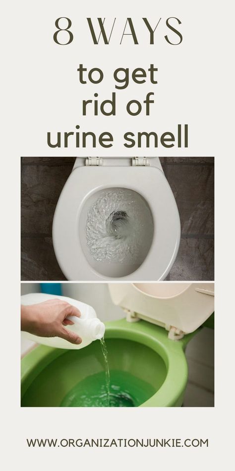 Nobody likes the smell of pee. Organizationjunkie.com can show you 8 ways to get rid of urine smell in your home. Simple tips to make your bathroom smell fresh. Toilet Smells Like Urine, Cleaning Urine Smell From Bathroom, How To Get Rid Of Urine Smell In Toilet, How To Get Urine Smell Out Of Bathroom, Ways To Make Your Bathroom Smell Good, Bathroom Smells Like Urine, How To Remove Urine Smell From Bathroom, How To Get Rid Of Pee Smell In Bathroom, How To Make Your Toilet Smell Good