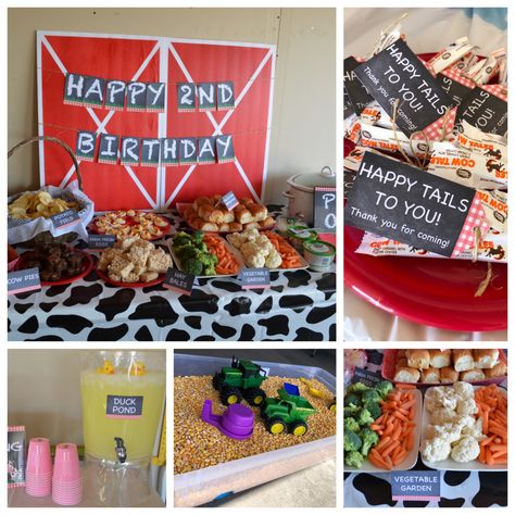 DIY Budget Friendly Farm Party Cow Party Snacks, Barnyard Theme Food, Farm Party Cupcakes, Farm Party Appetizers, Farm Fruit Tray, Farm Theme Food Ideas, Farm Birthday Snacks, Farm Themed Party Food, Farm Toddler Birthday Party