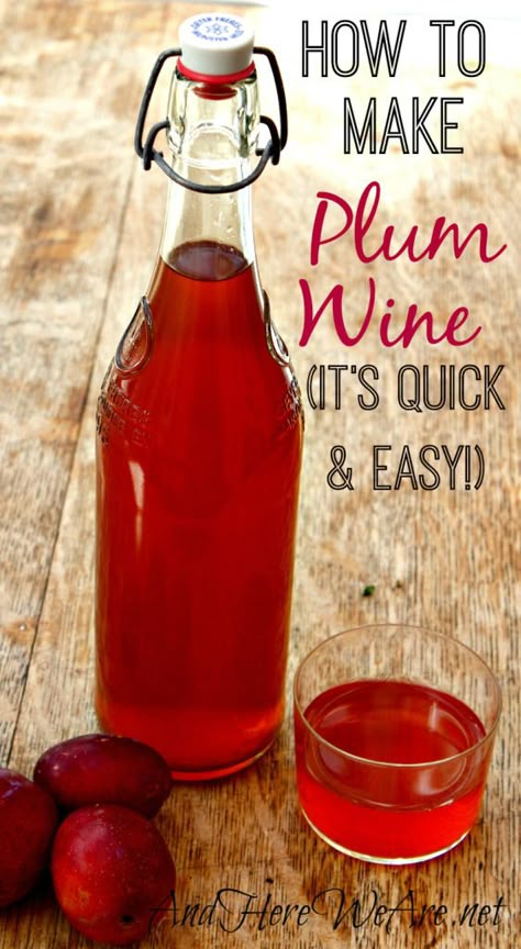 Quick and Easy Plum Wine | A step-by-step tutorial we can easily make! #pioneersettler Plum Wine Recipe, Homemade Wine Recipes, Homemade Alcohol, Plum Recipes, Homemade Liquor, Wine Recipe, Plum Wine, Homemade Wine, Screw Caps