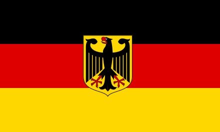 Power-To-Heat Systems Get Going In Germany Otto Carius, German Eagle, Germany Flag, German Flag, German History, German Women, Learn A New Language, Clean Energy, Armed Forces