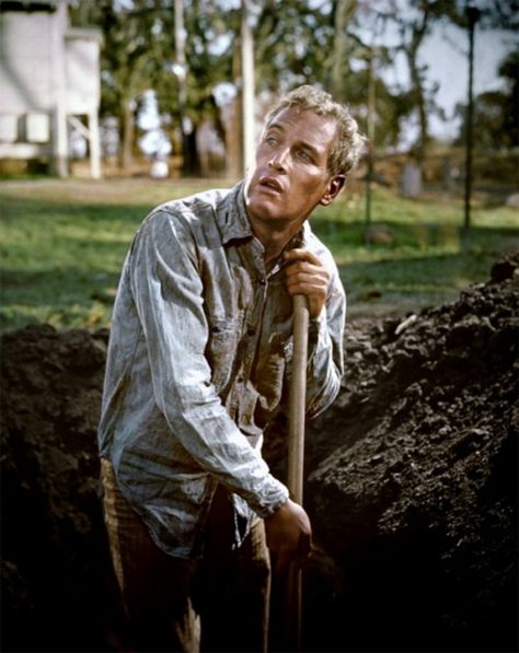 "...you gonna get your mind right." ~ Movie: "Cool Hand Luke" Cool Hand Luke Quotes, Paul Newman Robert Redford, Paul Newman Joanne Woodward, Cool Hand Luke, Joanne Woodward, Jean Simmons, Billy The Kid, William Faulkner, Tennessee Williams