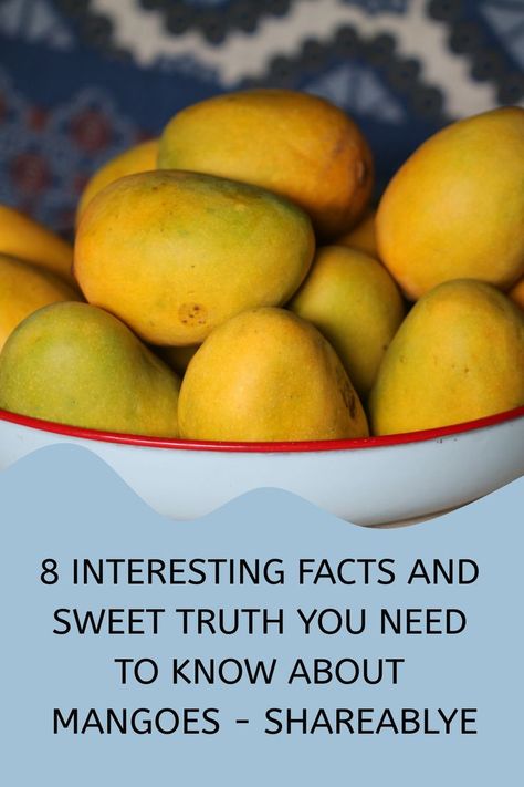 8 Interesting Facts And Sweet Truth You Need to Know About Mangoes Mango Nutrition Facts, Mango Nutrition, Daily Vitamins, Healthy Fruits, Healthy Digestion, Improve Digestion, Healthy Gut, Tropical Fruit, My Business