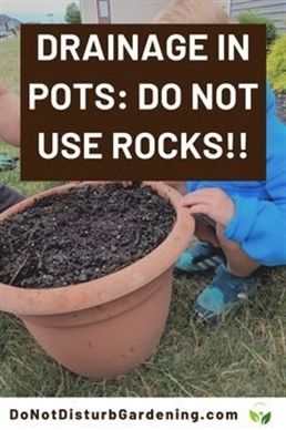 Growing Vegetables In Pots, Garden Remedies, Plant Pot Diy, Planting Pots, Potted Plants Outdoor, Painting Concrete Porch, Root Rot, Container Gardening Flowers, Brown Painting