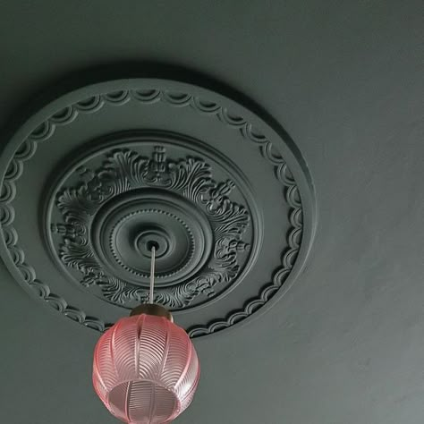 Lick on Instagram: "PSA: Don’t forget about your fifth wall (aka. your ceiling)  Our top tips for your painted ceiling:  1. To create a traditional meets modern feel in older properties that benefit from ornate coving and ceiling roses paint them all in the same colour. If you prefer a more traditional look, leave your ceiling rose neutral.   2. If you don’t want to create a more statement look with a painted ceiling, use the same colour as your walls to colour-drench the room by painting the ceiling, walls and woodwork.  3. If you don’t have a picture rail, use the decorating hack of extending your painted ceiling around 30cm onto your wall. This will add the illusion of a picture rail and add character.   4. Use lighter receding colours like light blue, light green and white with an unde Painted Ceiling Hallway, Ornate Coving, Painting The Ceiling, Traditional Meets Modern, Ceiling Roses, Ceiling Trim, Picture Rail, Painted Ceiling, Ceiling Rose