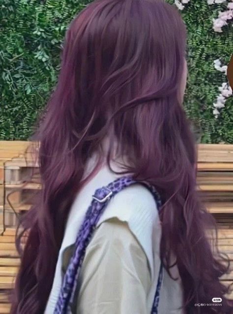 Plum Hair Aesthetic, Pelo Morado Aesthetic, Korean Purple Hair, Magenta Hair Aesthetic, Witch Hair Color, Amethyst Hair Color, Dark Magenta Hair, Pinkish Purple Hair, Reddish Purple Hair