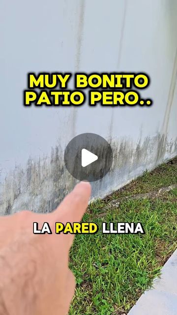 Ideas Jardines Pequeños, Ideas Patios Pequeños, Ideas Para Jardines Pequeños, Ideas Para El Patio, Cement Walls, Food Park, Woodworking Videos, August 25, Diy Wood