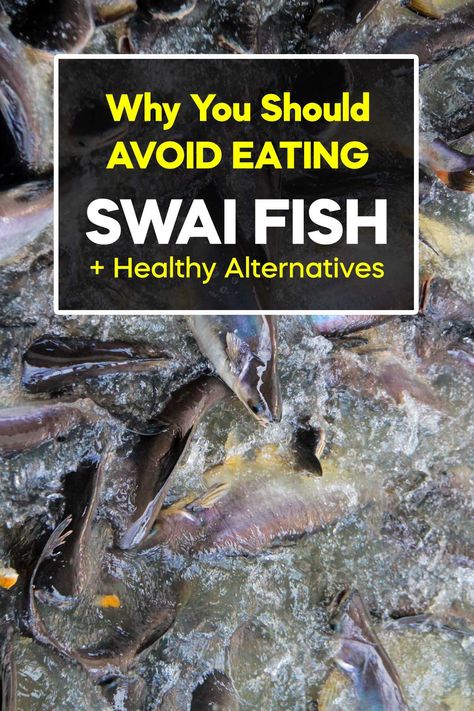 Discover why adding swai fish to your diet may not be the healthiest choice, and explore healthier fish alternatives. Recipes With Swai Fish, Fish Swai Recipes, Recipe For Swai Fillets, Swai Fish Dinner Ideas, Stuffed Swai Fish Recipes, Blackened Swai Fish, Healthy Swai Fish Recipes, Recipes For Swai Fillets, How To Cook Swai Fillets