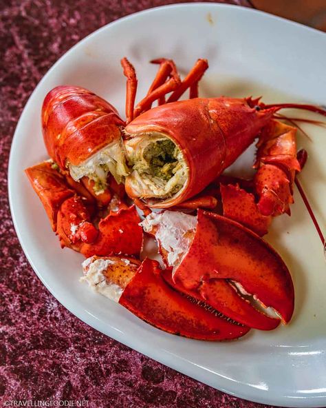 Cracked Lobster at Halls Harbour Lobster Pound in Nova Scotia || Love seafood? Nova Scotia is all about their lobster. In this guide, learn different Nova Scotia Lobster dishes from lobster pasta and seafood chowder to creamed lobster and lobster congee! There are so many ways to enjoy lobster in Nova Scotia. Check out this Nova Scotia Lobster Guide on Travelling Foodie. #travellingfoodie #novascotia #canada #travel Lobster Pizza, Lobster Pasta, Seafood Shop, Lobster Dishes, Lobster Dinner, Mini Cafe, Chicken Kiev, Seafood Chowder, Seafood Platter