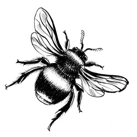 Bumblebee. Ink drawing of a bumblebee #Sponsored , #Advertisement, #sponsored, #Bumblebee, #drawing, #bumblebee, #Ink Bumblebee Drawing, Bee Outline, Bumble Bee Tattoo, Bee Drawing, Kunst Tattoos, Posca Art, Bee Tattoo, Pencil Sketches, Insect Art